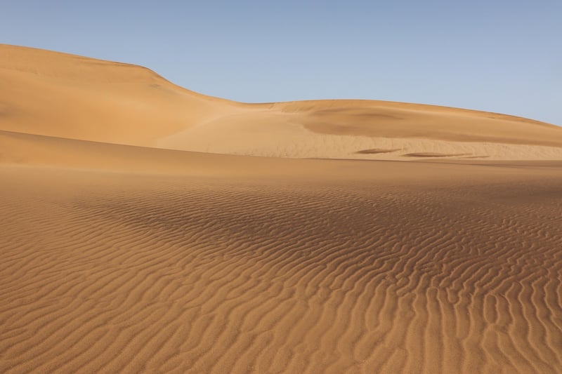 Desert Trek