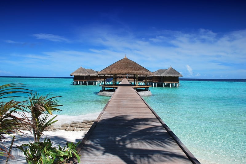 Tropical Beach