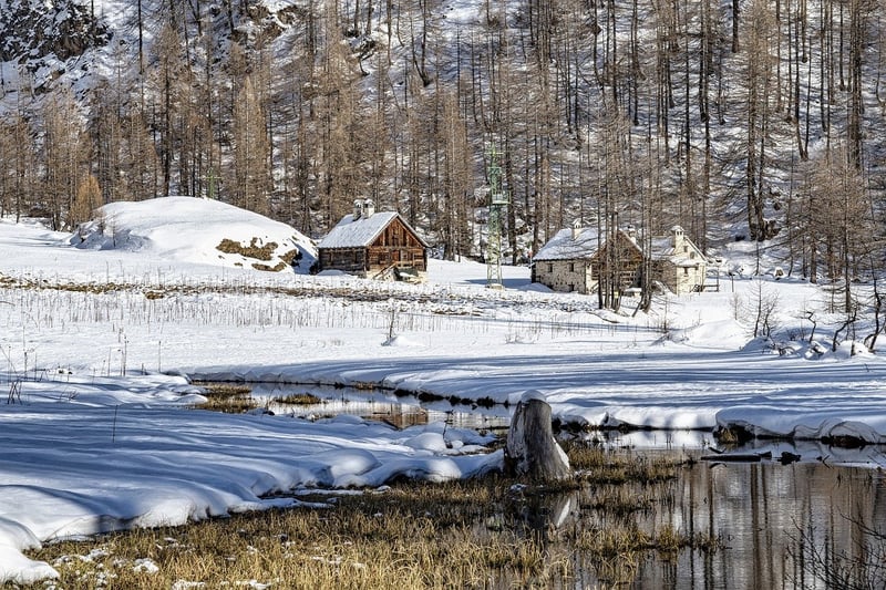 Cabin in the woods